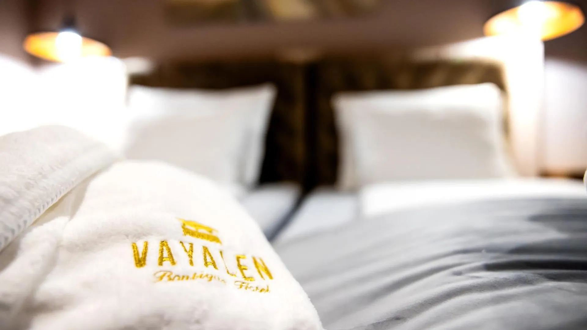 וינה Vayalen Boutique Hotel 3*,