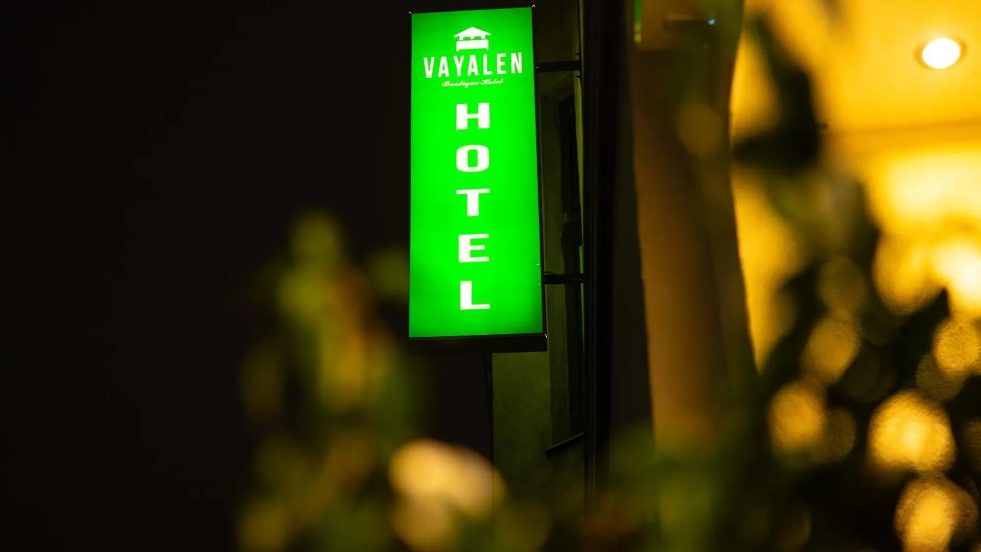 וינה Vayalen Boutique Hotel